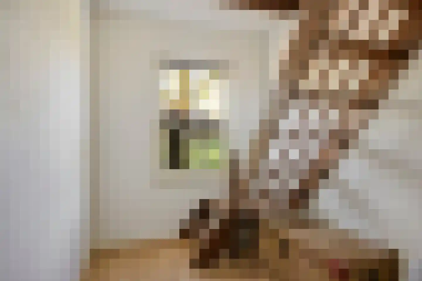 Molenstraat 23 Berlicum thumbnail 36