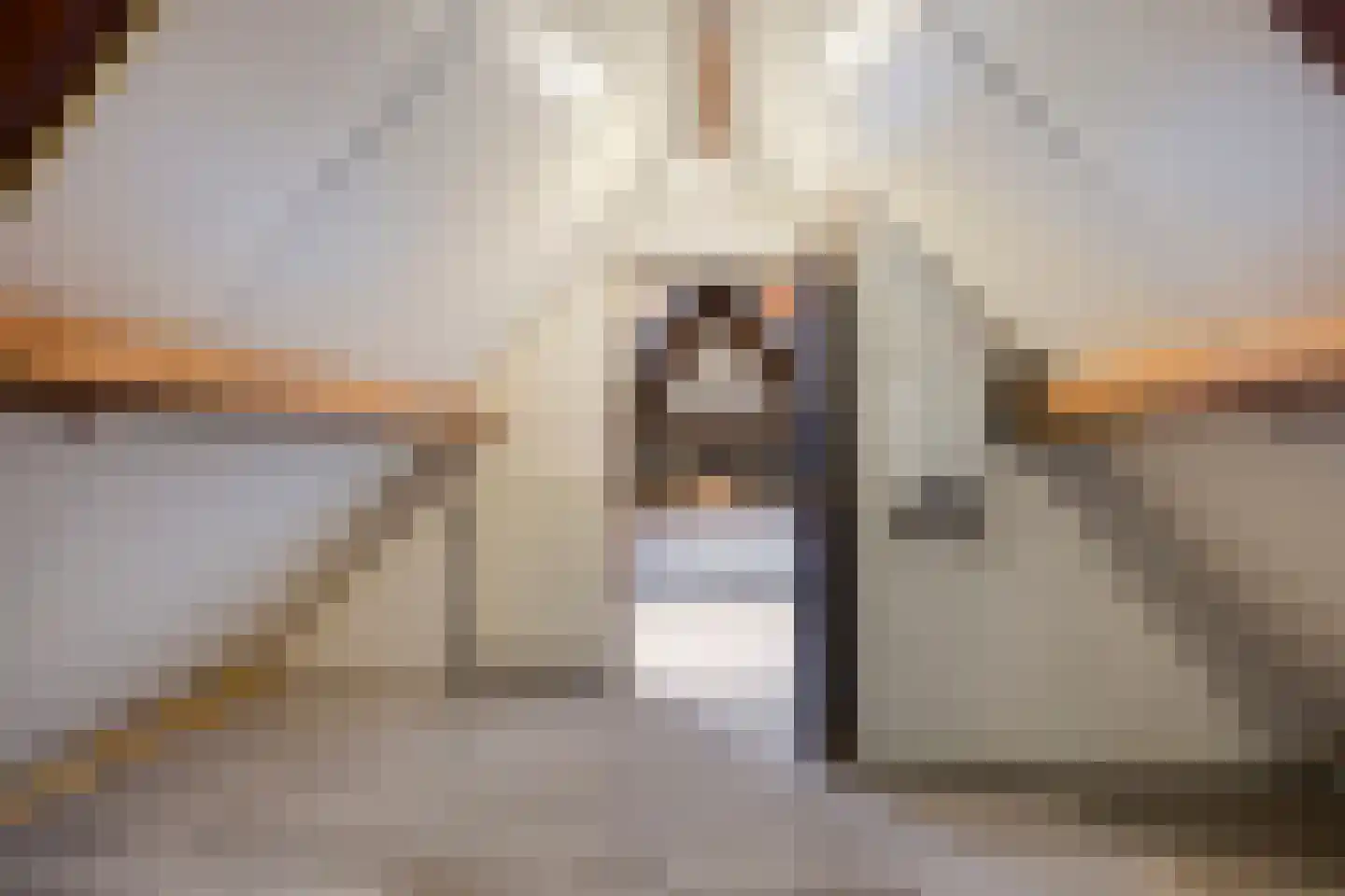 Molenstraat 23 Berlicum thumbnail 37