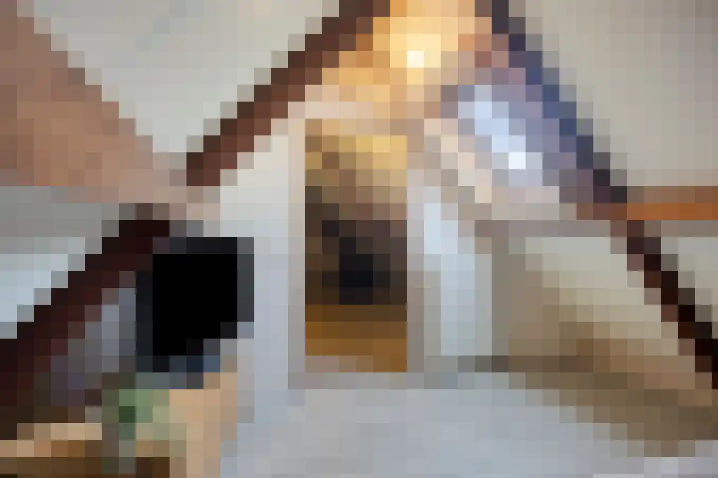 Molenstraat 23 Berlicum thumbnail 39