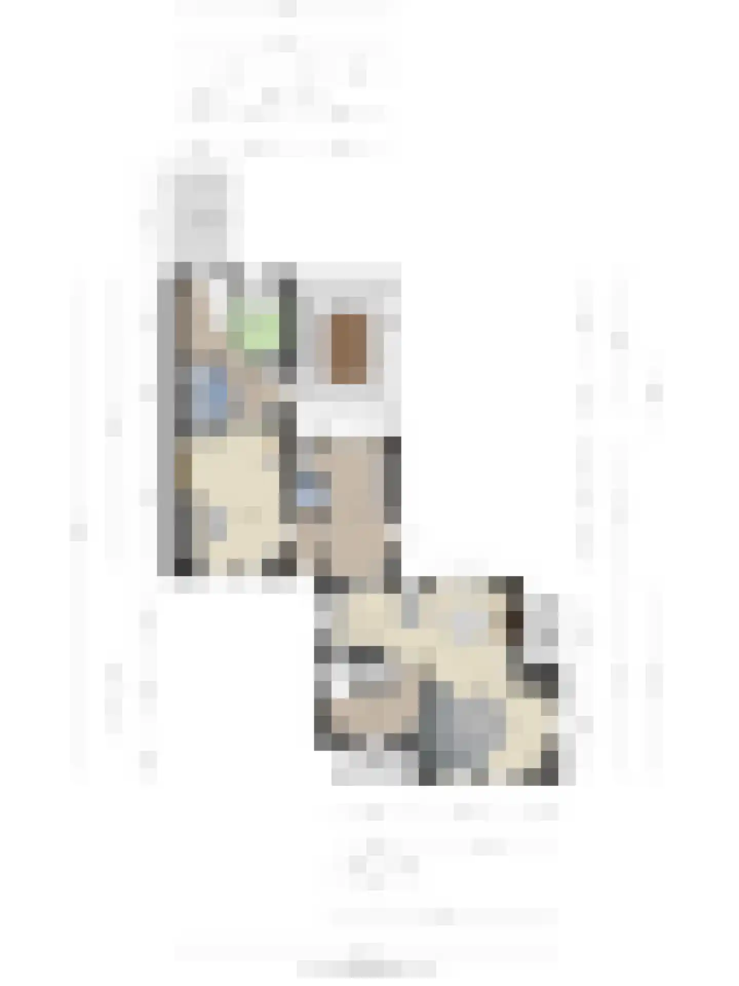 Molenstraat 23 Berlicum thumbnail 65