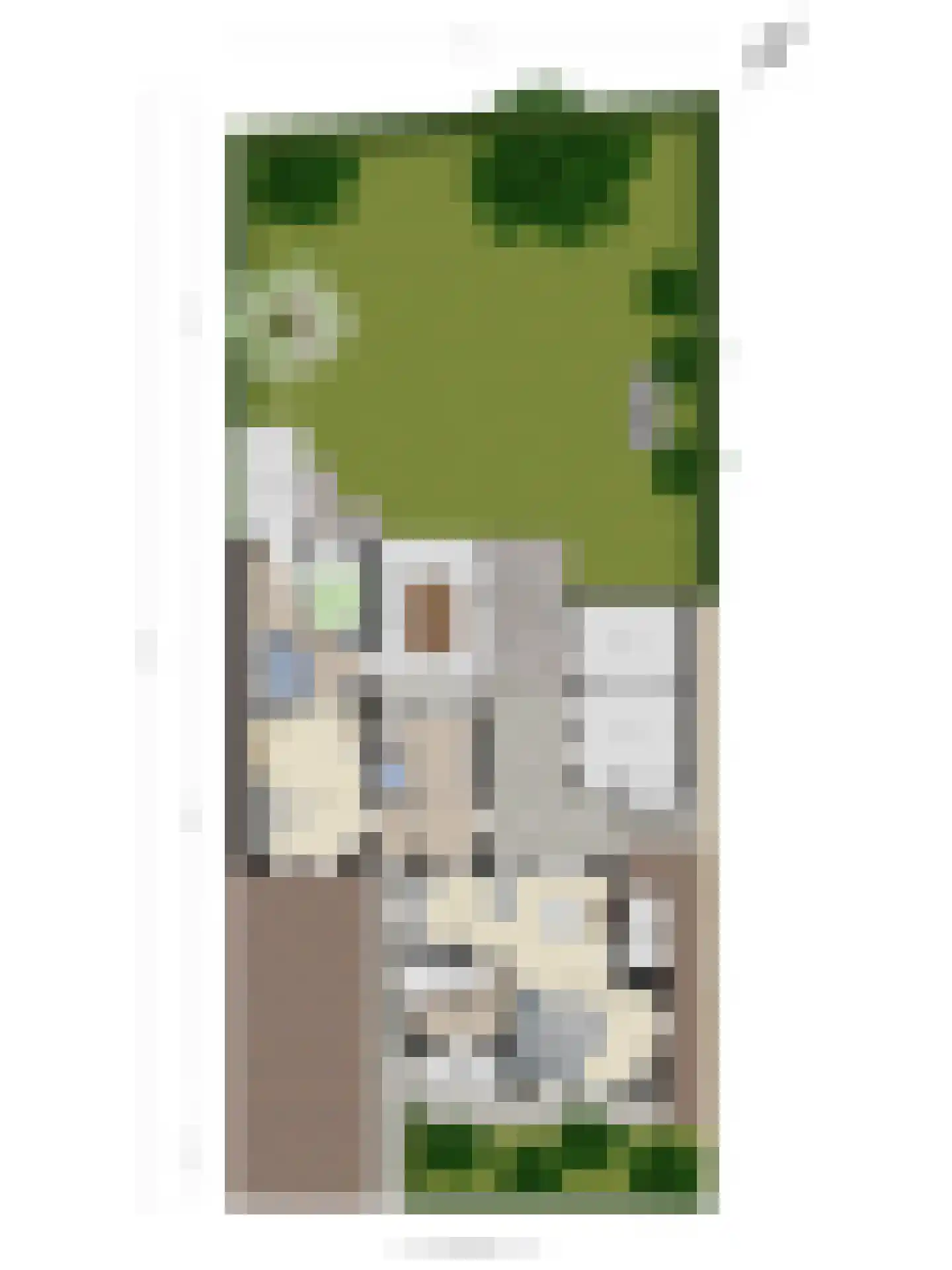 Molenstraat 23 Berlicum thumbnail 66