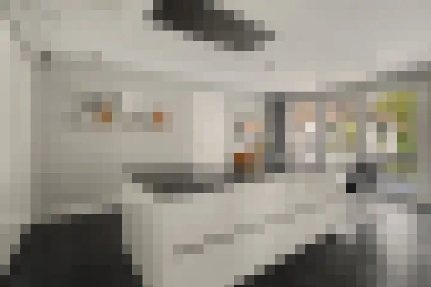 Molenstraat 23 Diessen thumbnail 13