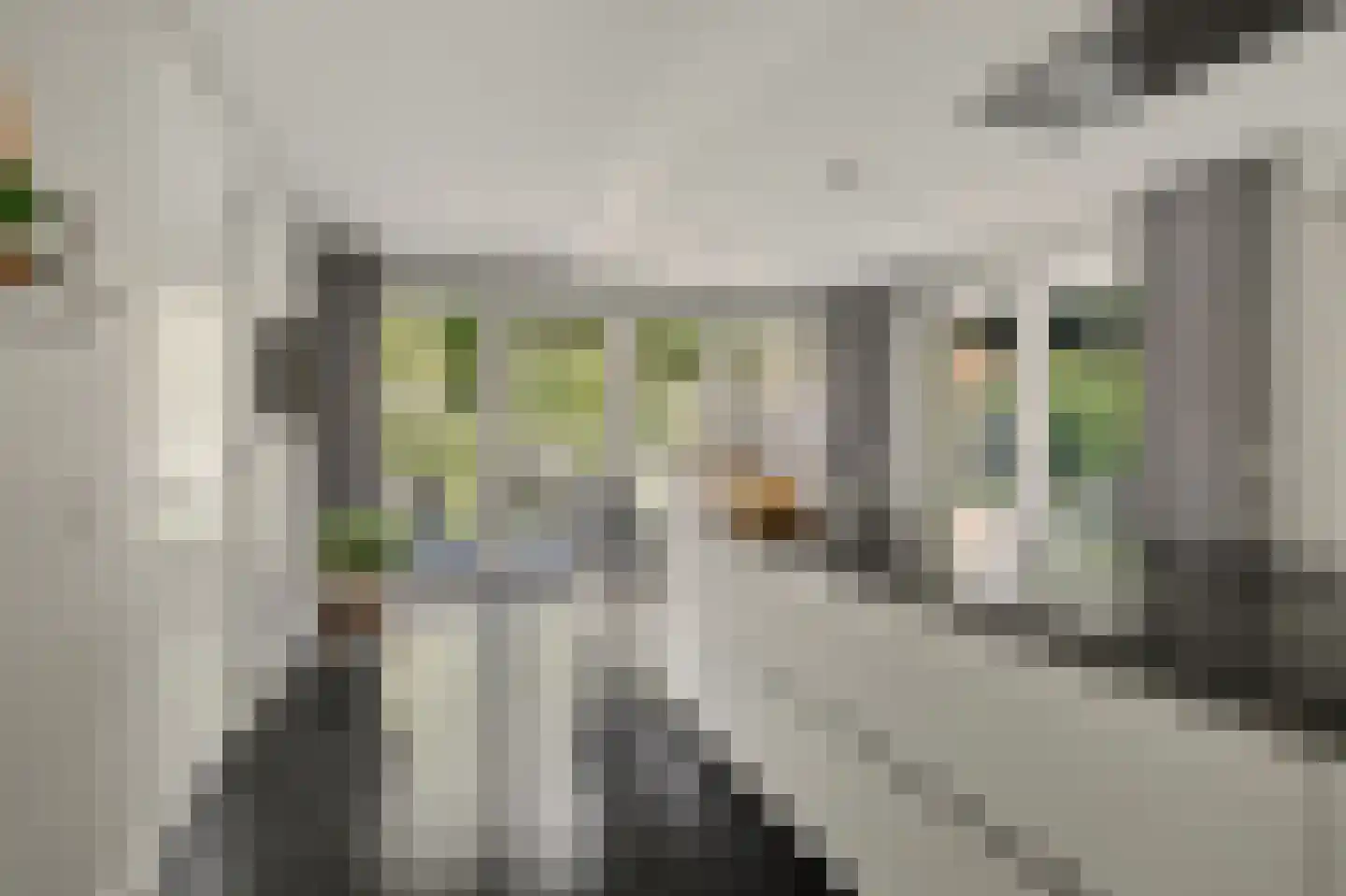 Molenstraat 23 Diessen thumbnail 14