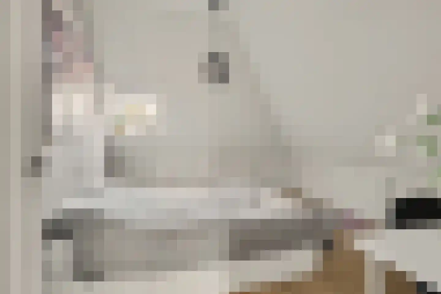 Molenstraat 23 Diessen thumbnail 31