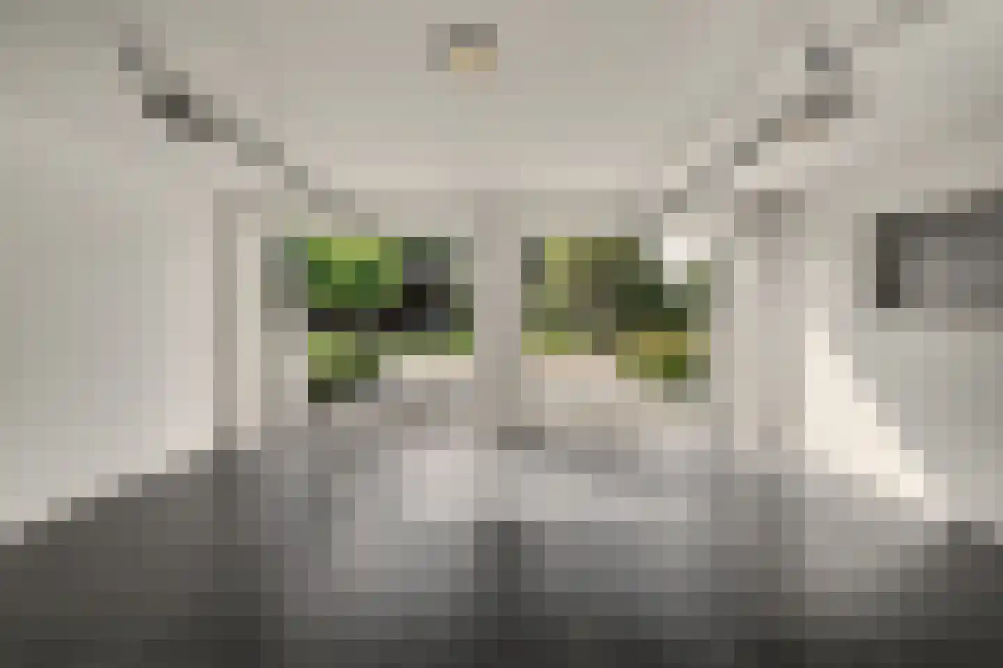 Molenstraat 23 Diessen thumbnail 46