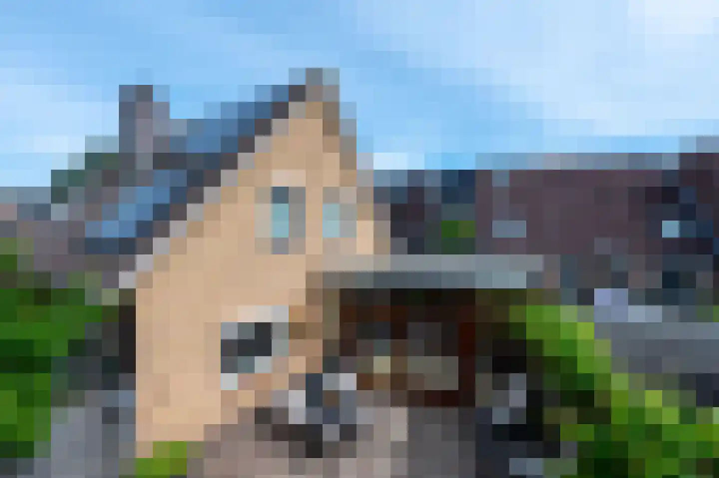 Molenstraat 23 Putten thumbnail 48