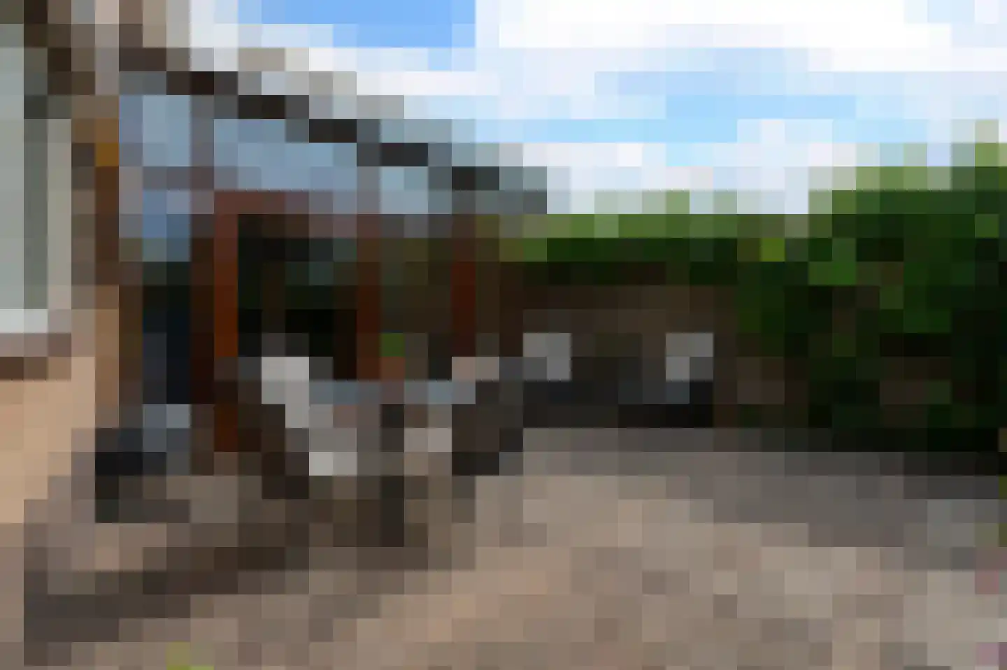 Molenstraat 23 Putten thumbnail 49
