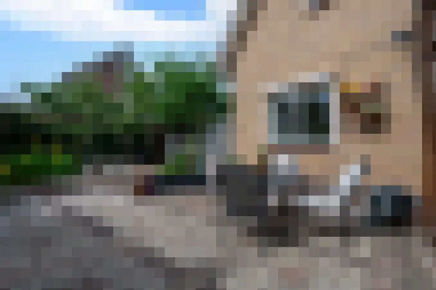 Molenstraat 23 Putten thumbnail 52