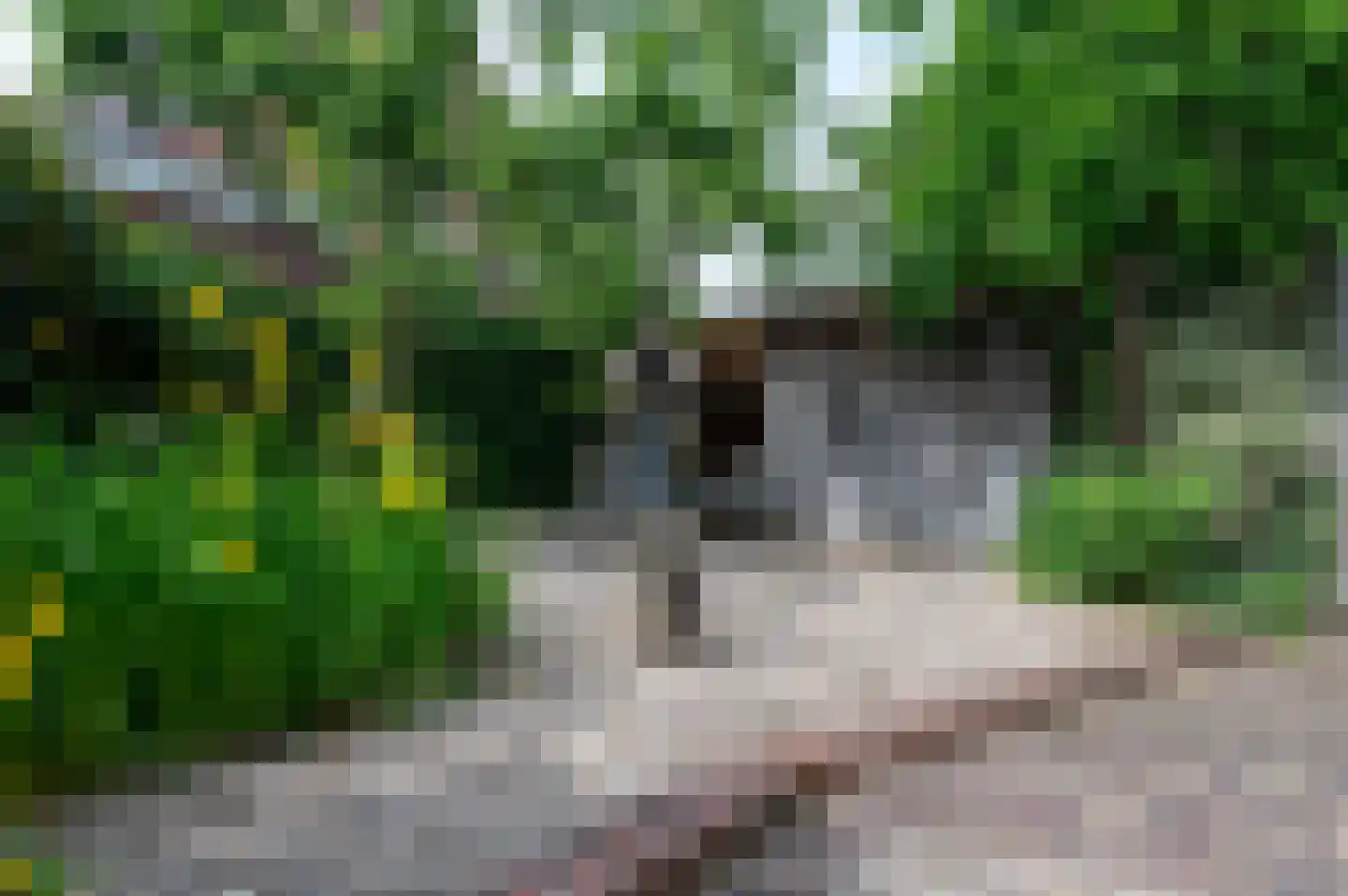 Molenstraat 23 Putten thumbnail 54