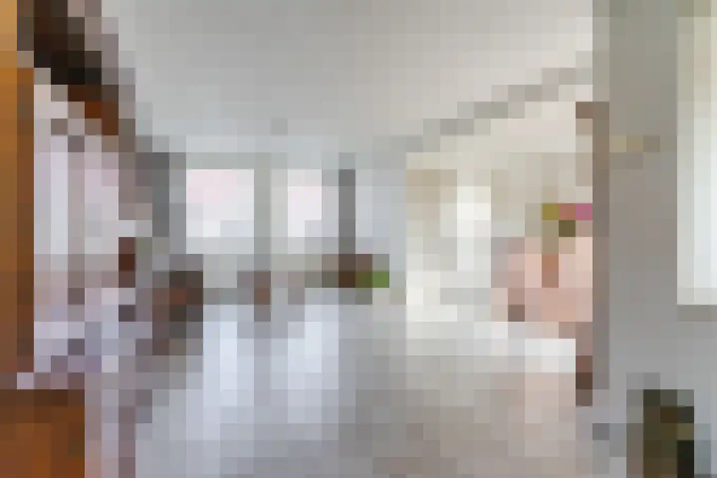 Molenstraat 23 Riethoven thumbnail 11