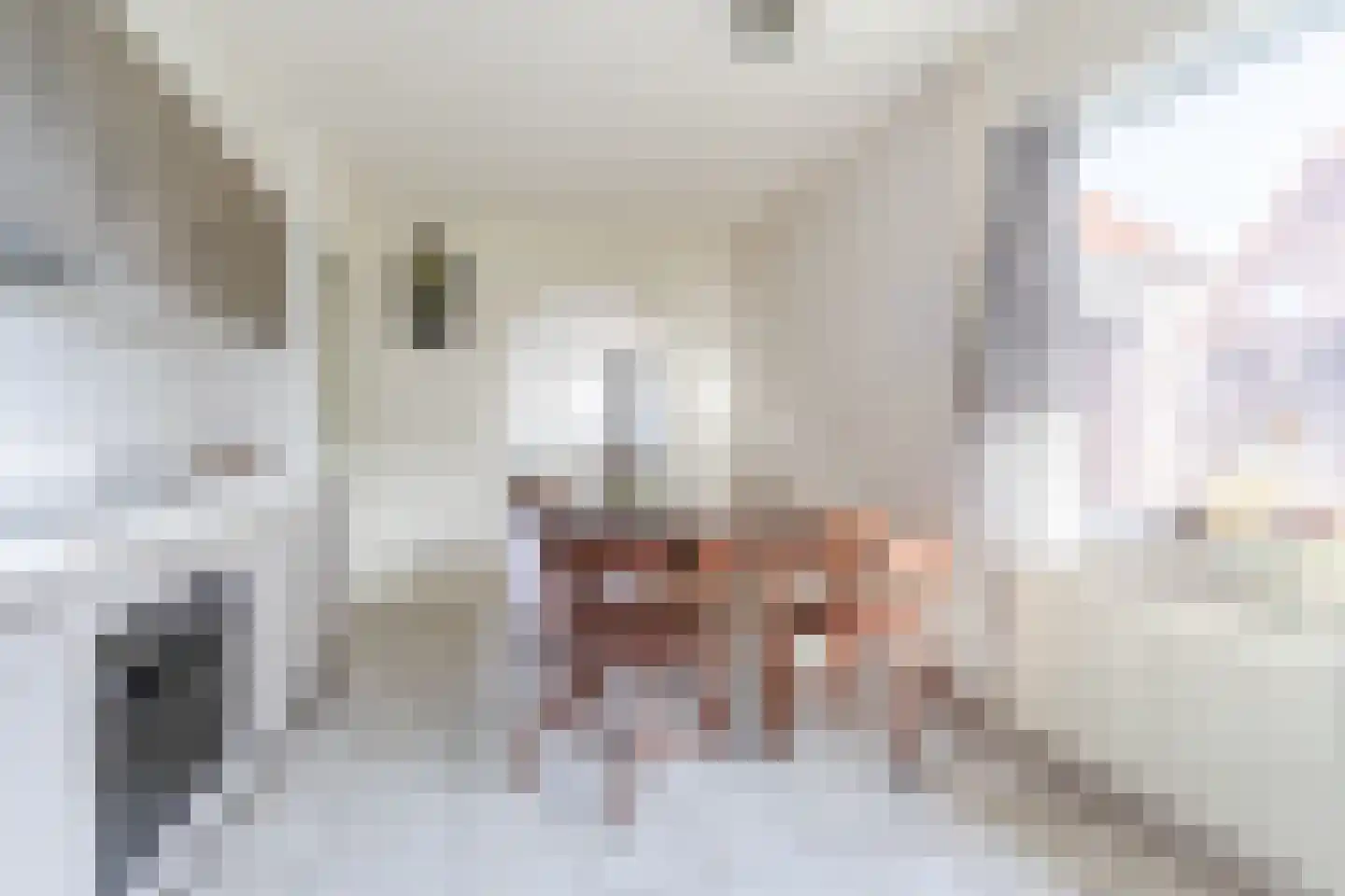 Molenstraat 23 Riethoven thumbnail 16