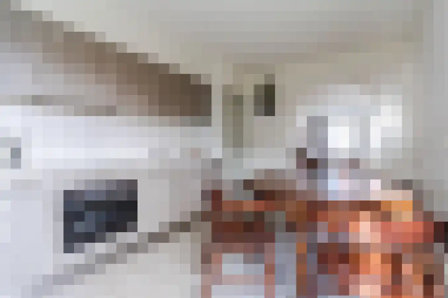 Molenstraat 23 Riethoven thumbnail 17