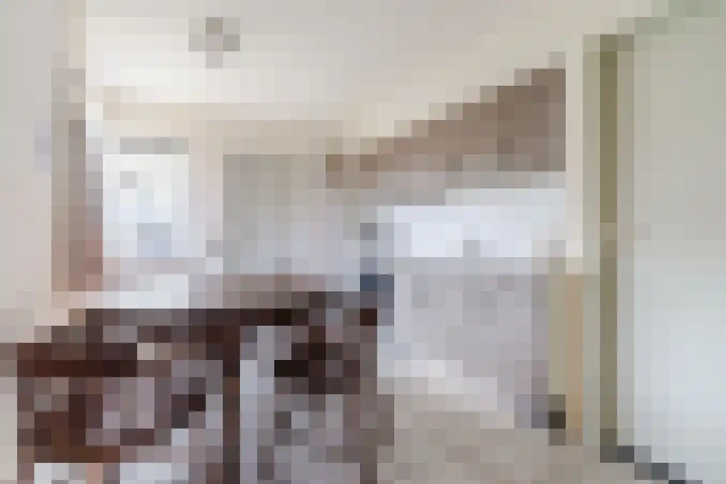 Molenstraat 23 Riethoven thumbnail 18