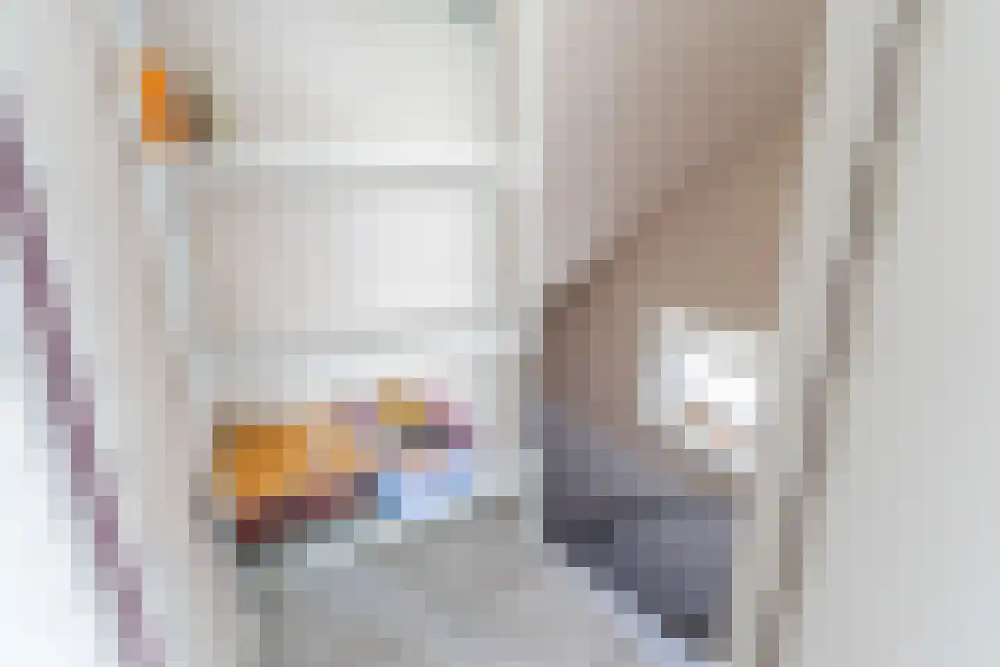 Molenstraat 23 Riethoven thumbnail 21
