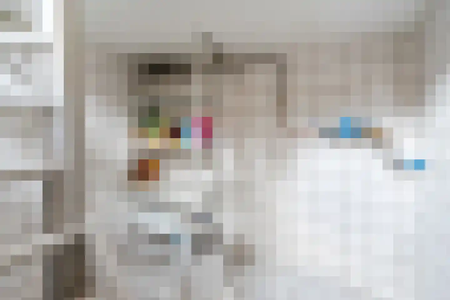 Molenstraat 23 Riethoven thumbnail 22