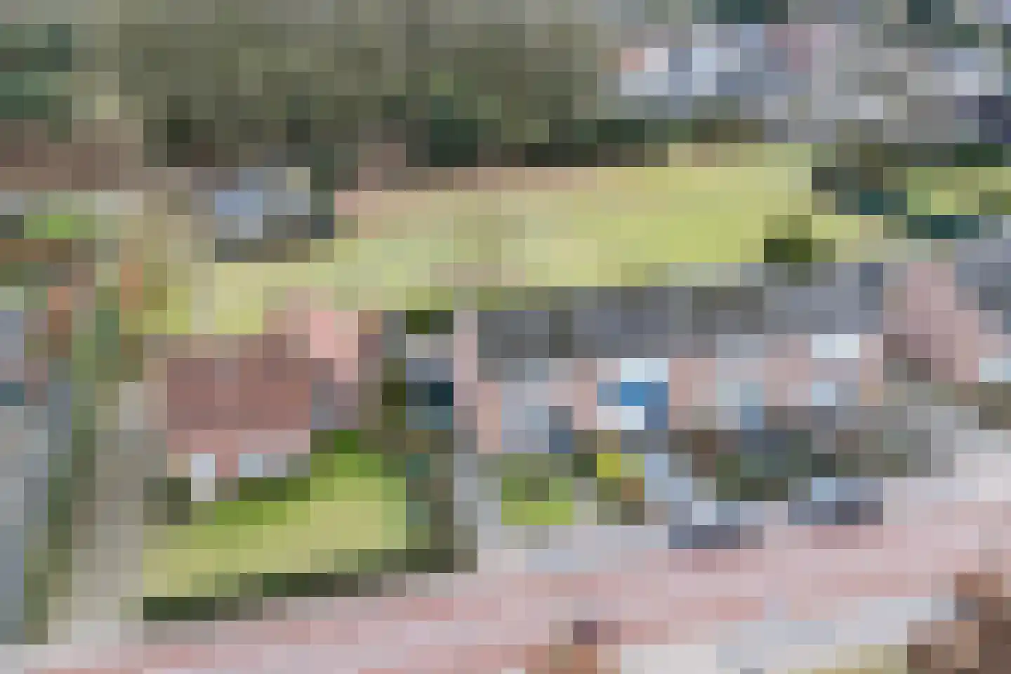 Molenstraat 23 Riethoven thumbnail 4