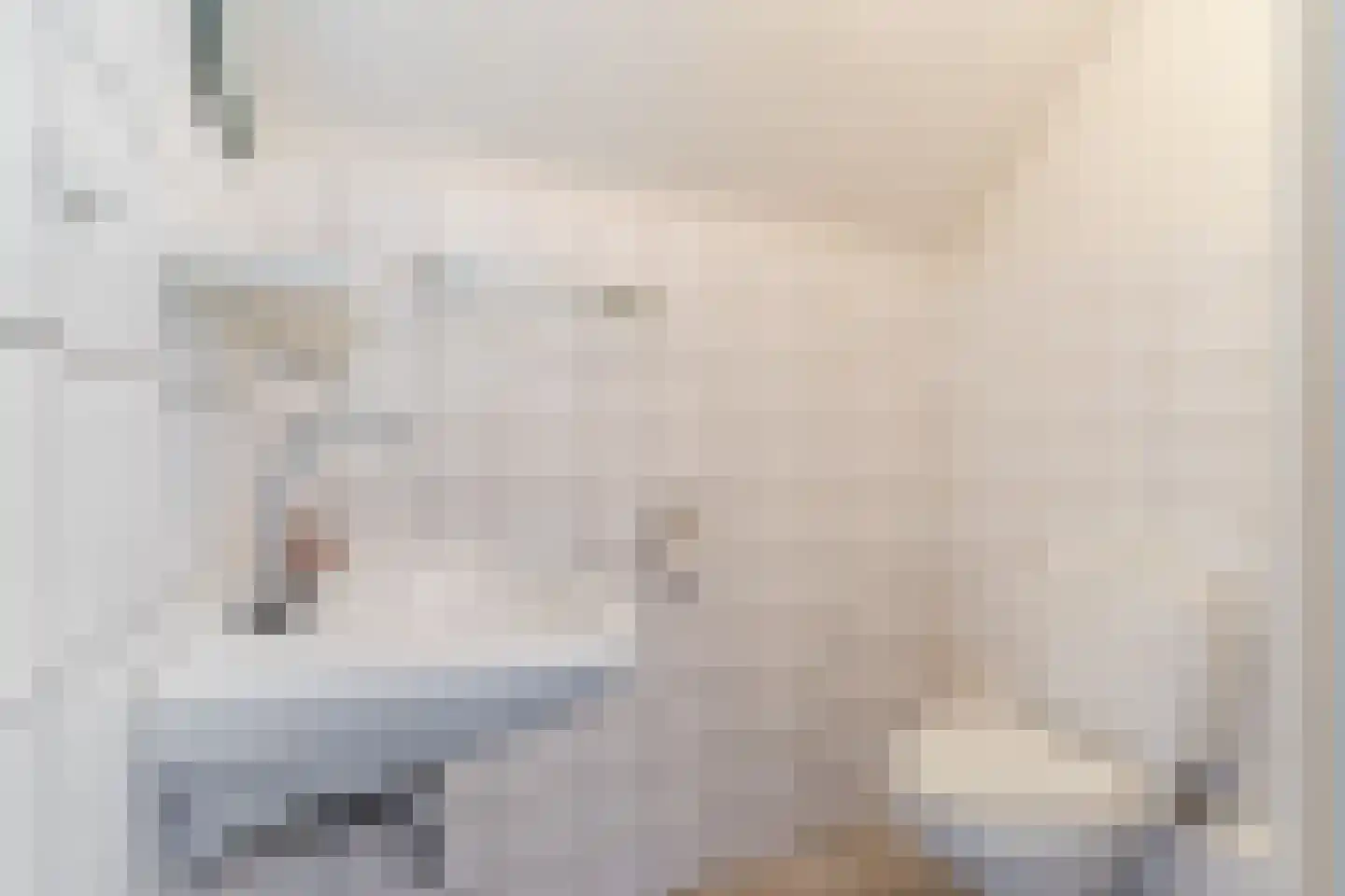 Molenstraat 23 Riethoven thumbnail 42