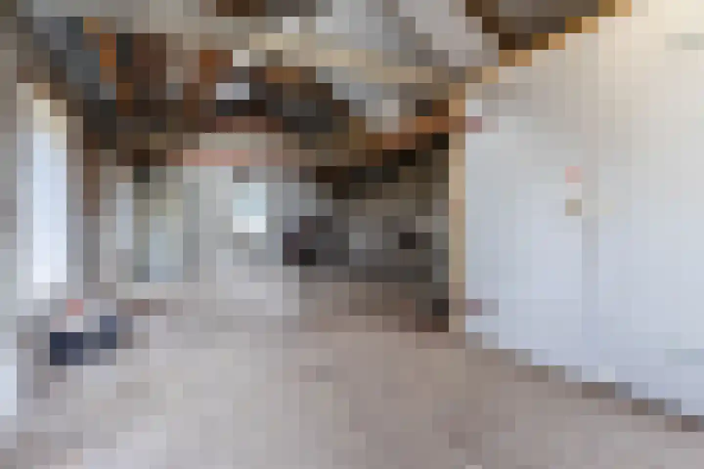 Molenstraat 23 Riethoven thumbnail 47