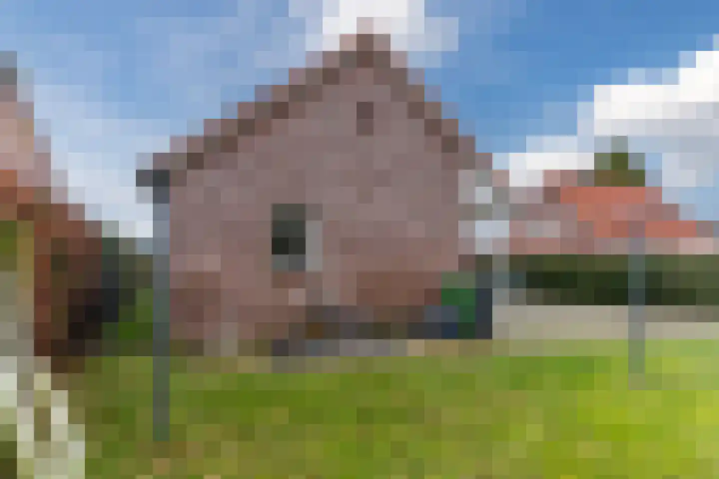 Molenstraat 23 Riethoven thumbnail 51