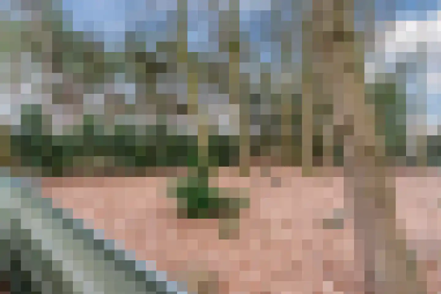 Molenstraat 23 Riethoven thumbnail 59