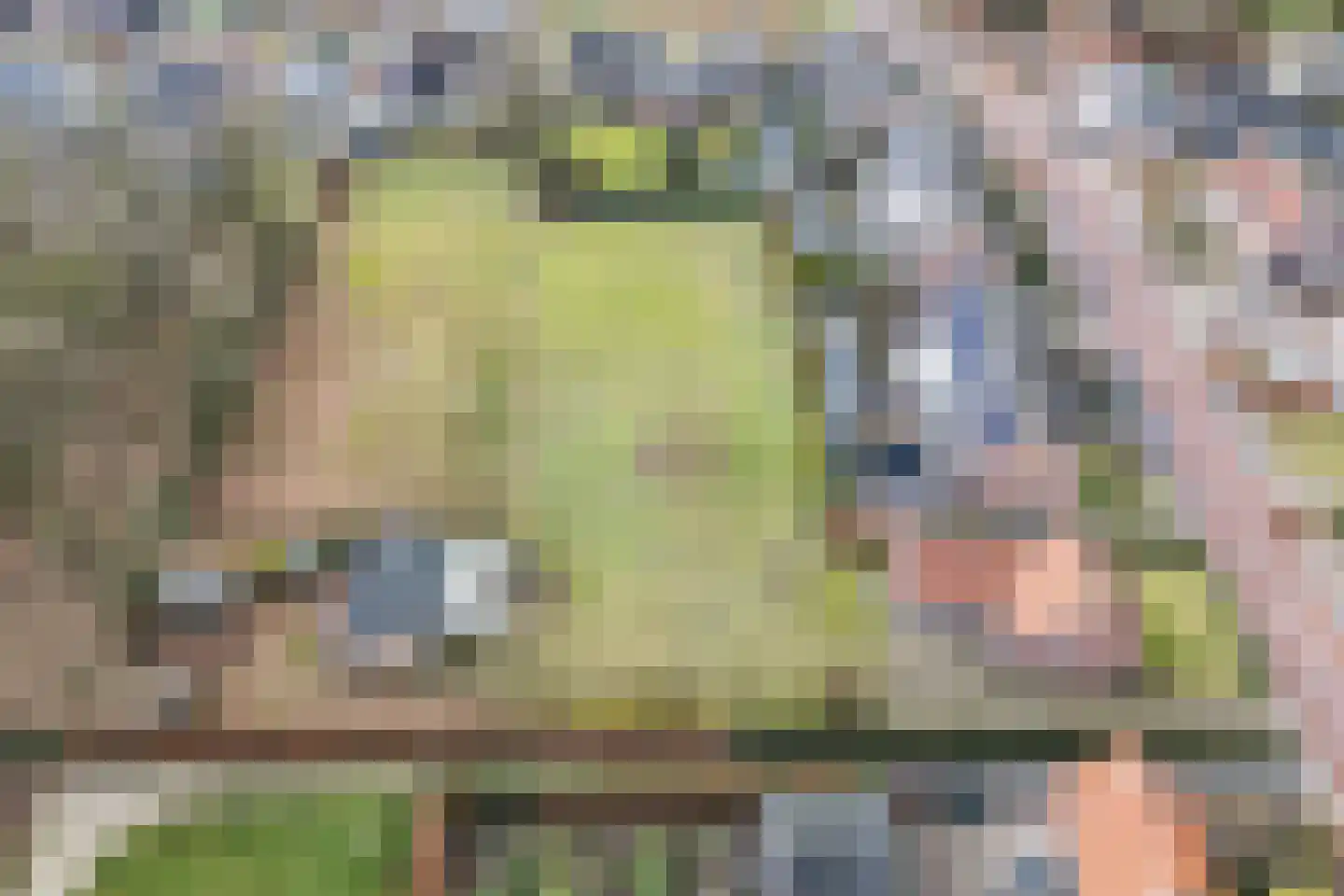 Molenstraat 23 Riethoven thumbnail 69