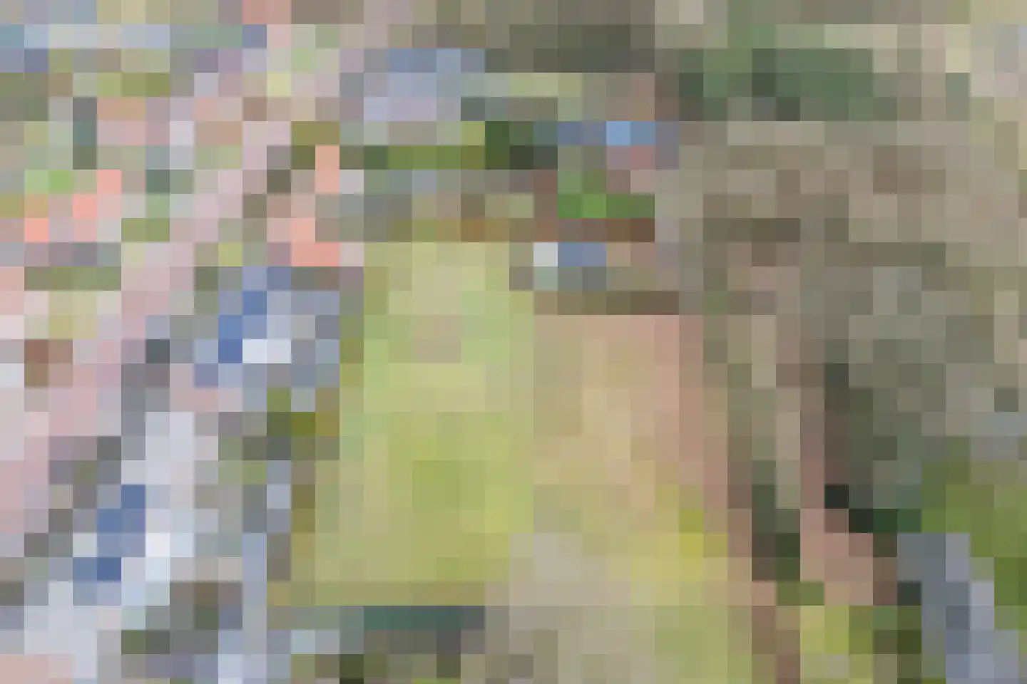 Molenstraat 23 Riethoven thumbnail 70