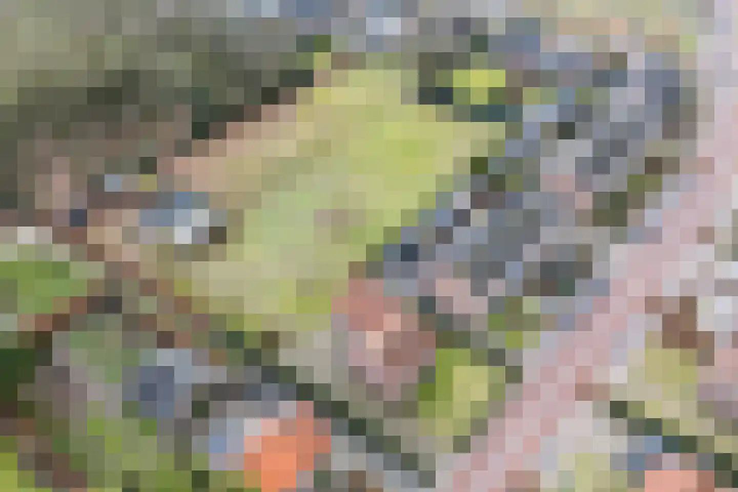 Molenstraat 23 Riethoven thumbnail 75