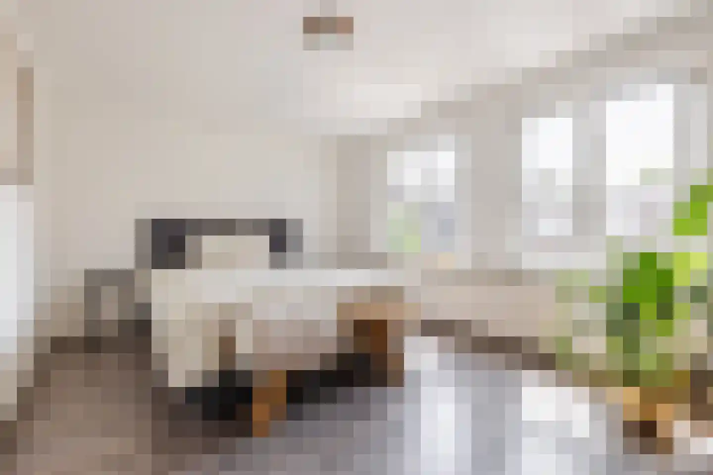 Molenstraat 23 Tilburg thumbnail 16