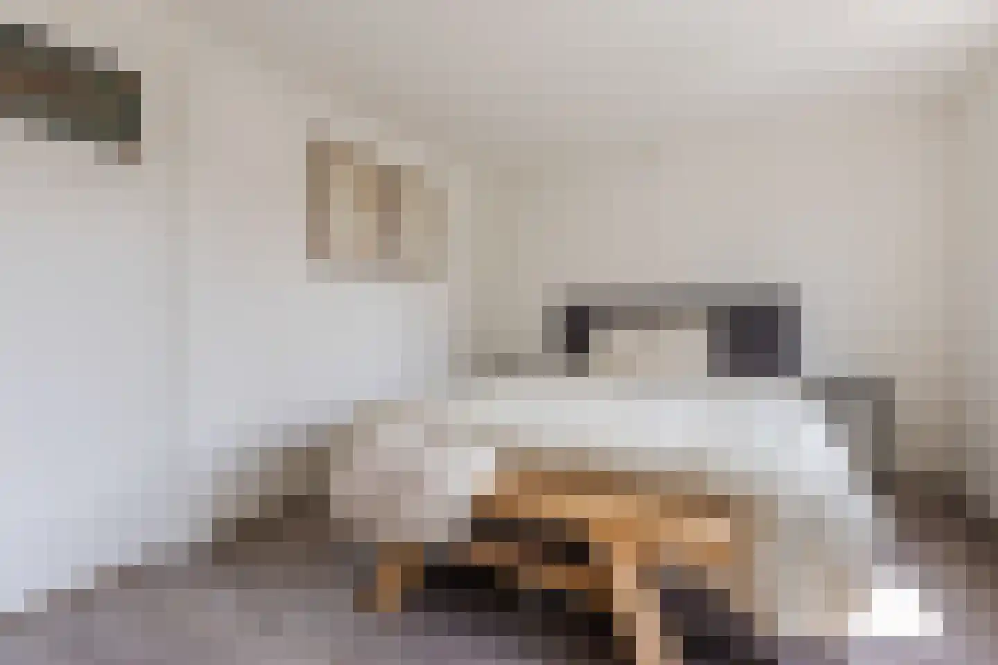 Molenstraat 23 Tilburg thumbnail 17
