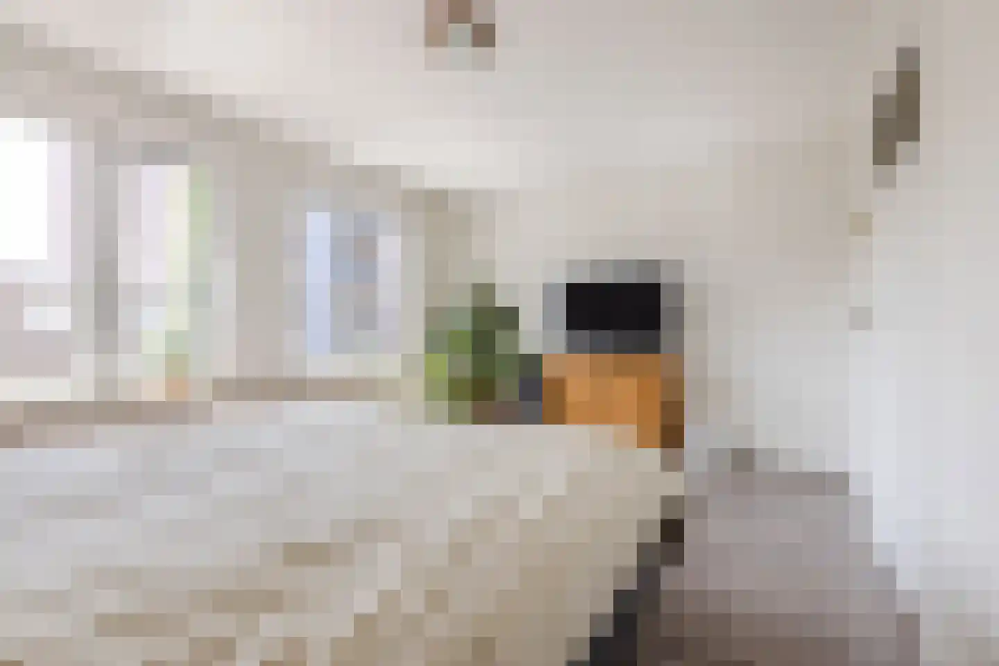 Molenstraat 23 Tilburg thumbnail 18