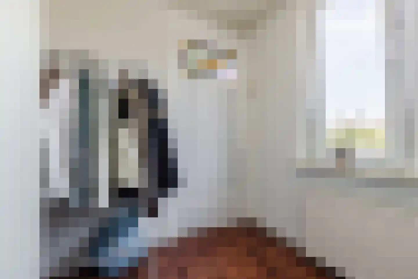 Molenstraat 23 Tilburg thumbnail 21