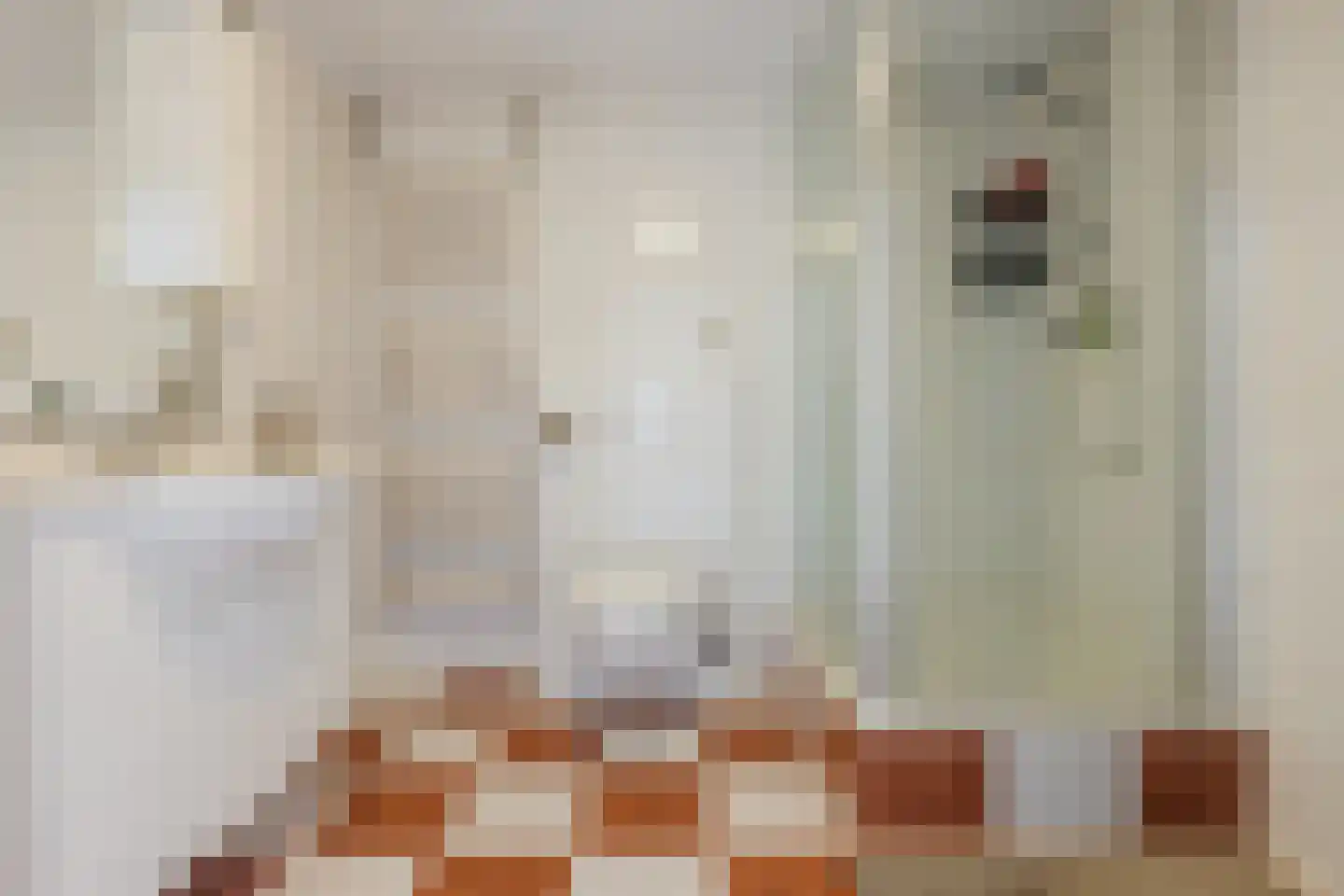 Molenstraat 23 Tilburg thumbnail 22