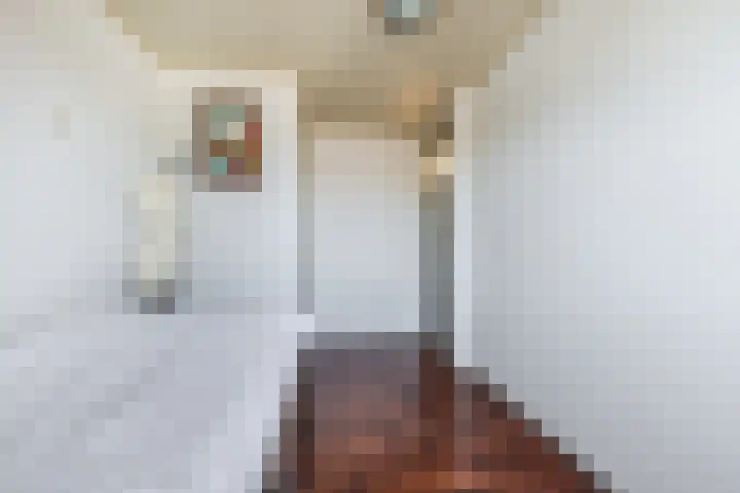 Molenstraat 23 Tilburg thumbnail 25