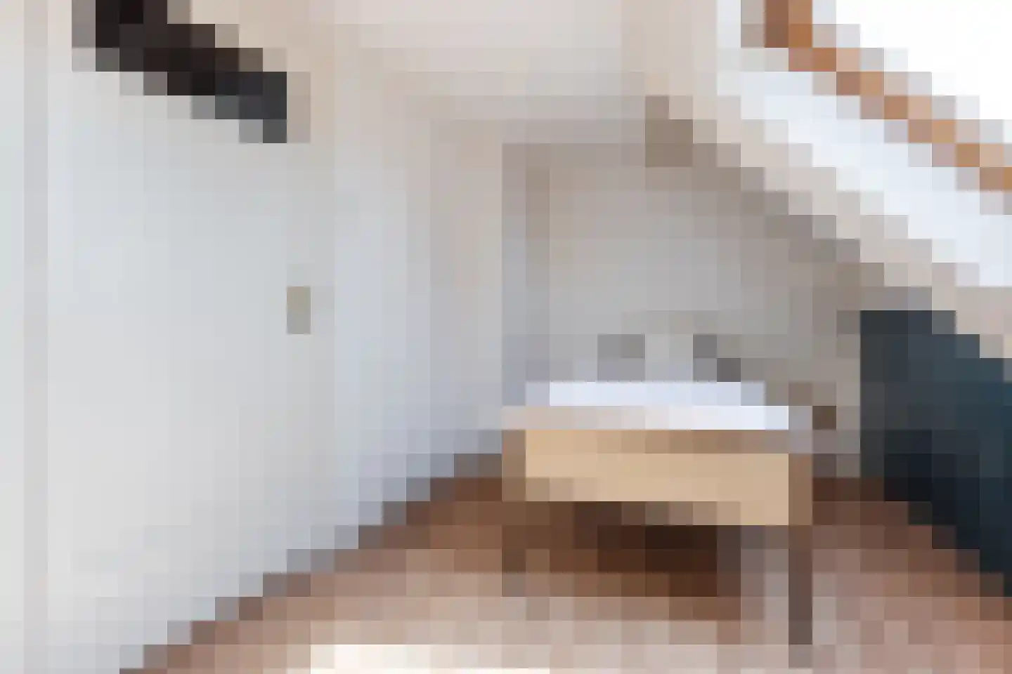 Molenstraat 23 Tilburg thumbnail 28