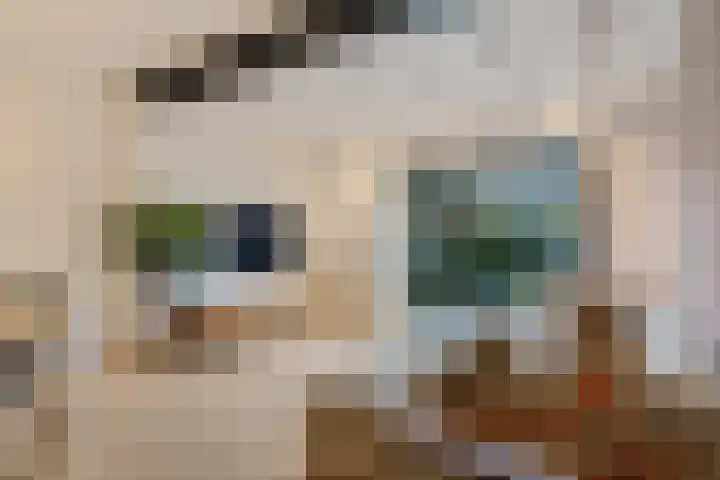 Molenstraat 23 Zoetermeer thumbnail 20
