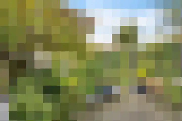 Molenstraat 23 Zoetermeer thumbnail 30