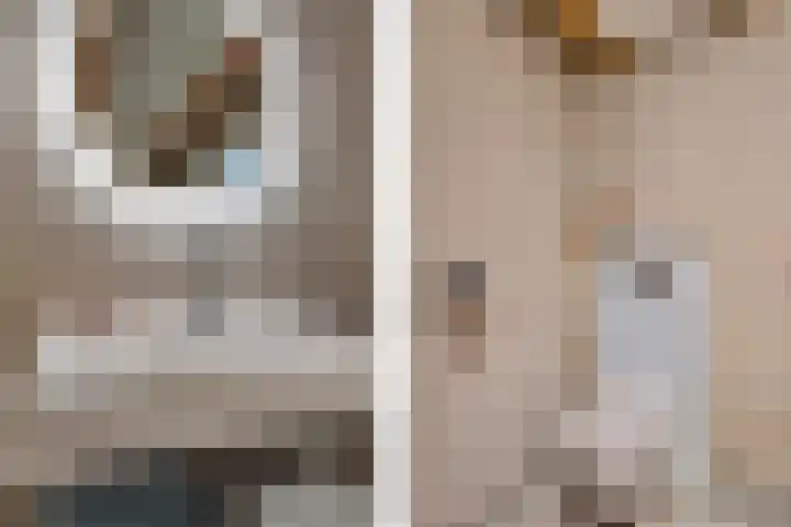 Molenstraat 23 Zoetermeer thumbnail 43