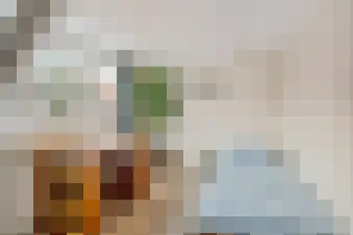 Molenstraat 23 Zoetermeer thumbnail 45
