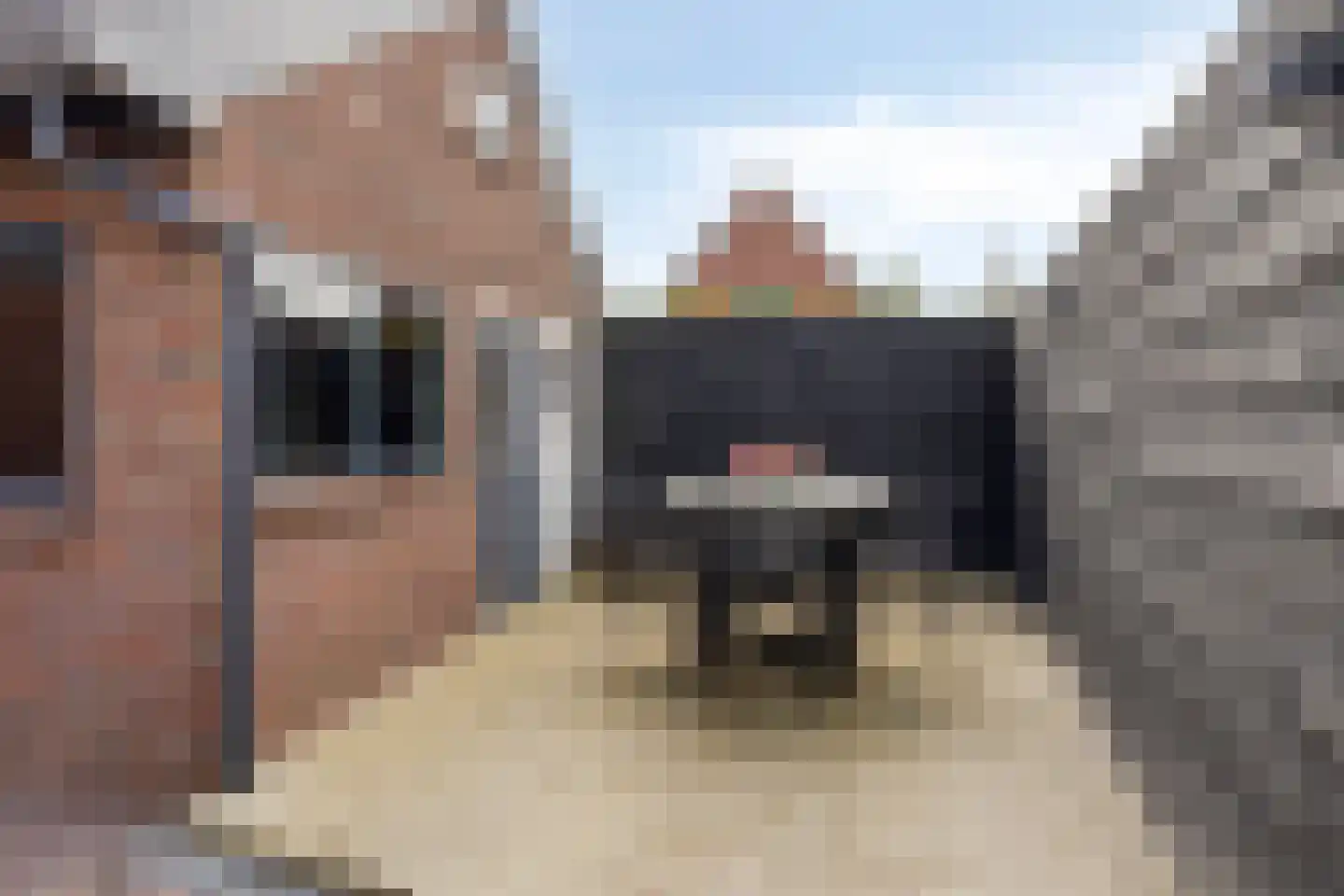 Molenstraat 23 Zuidhorn thumbnail 20