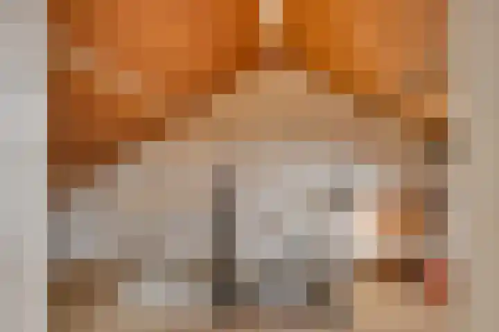 Molenstraat 23 Zuilichem thumbnail 25
