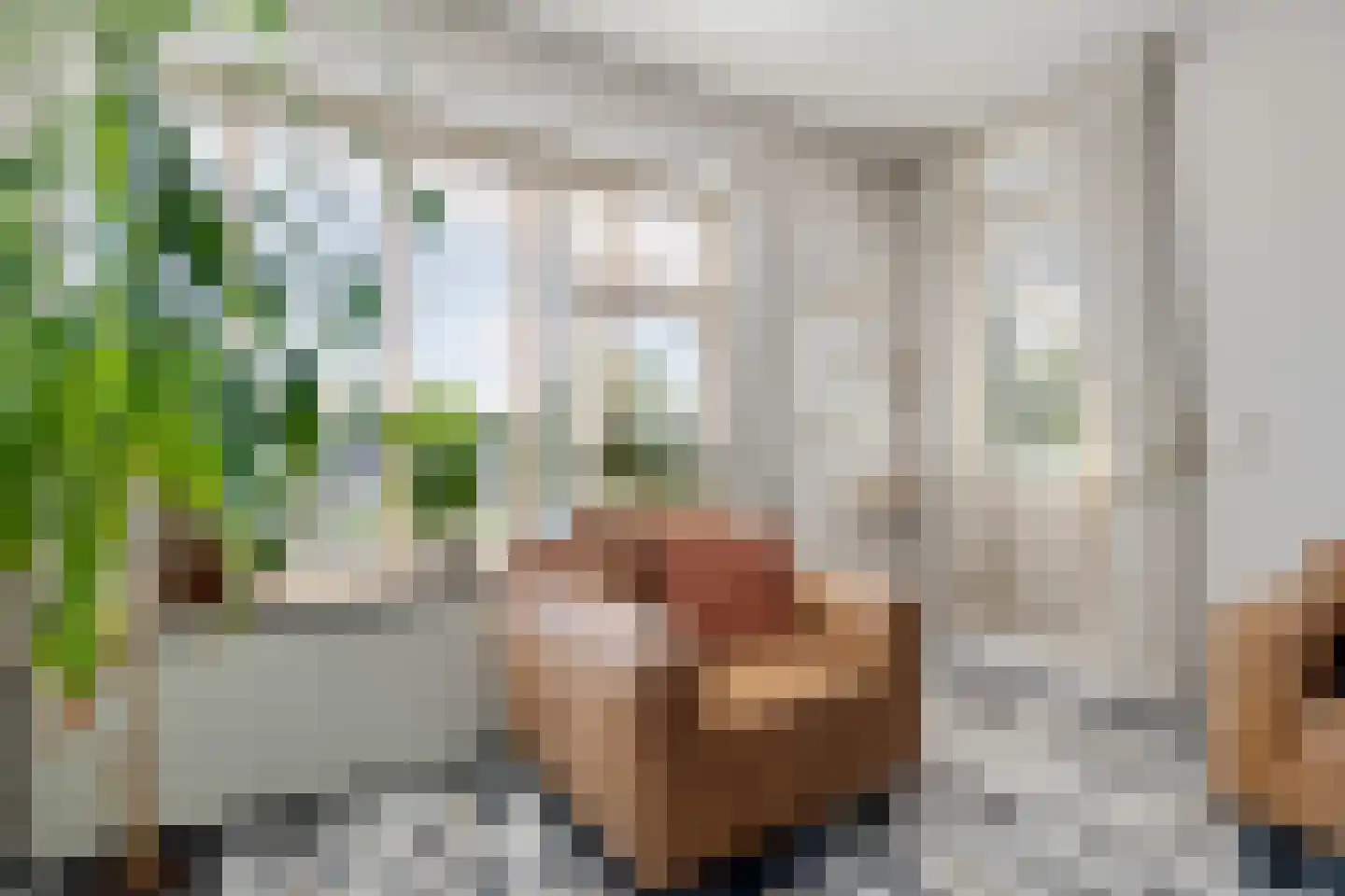 Molenstraat 235 Assen thumbnail 14