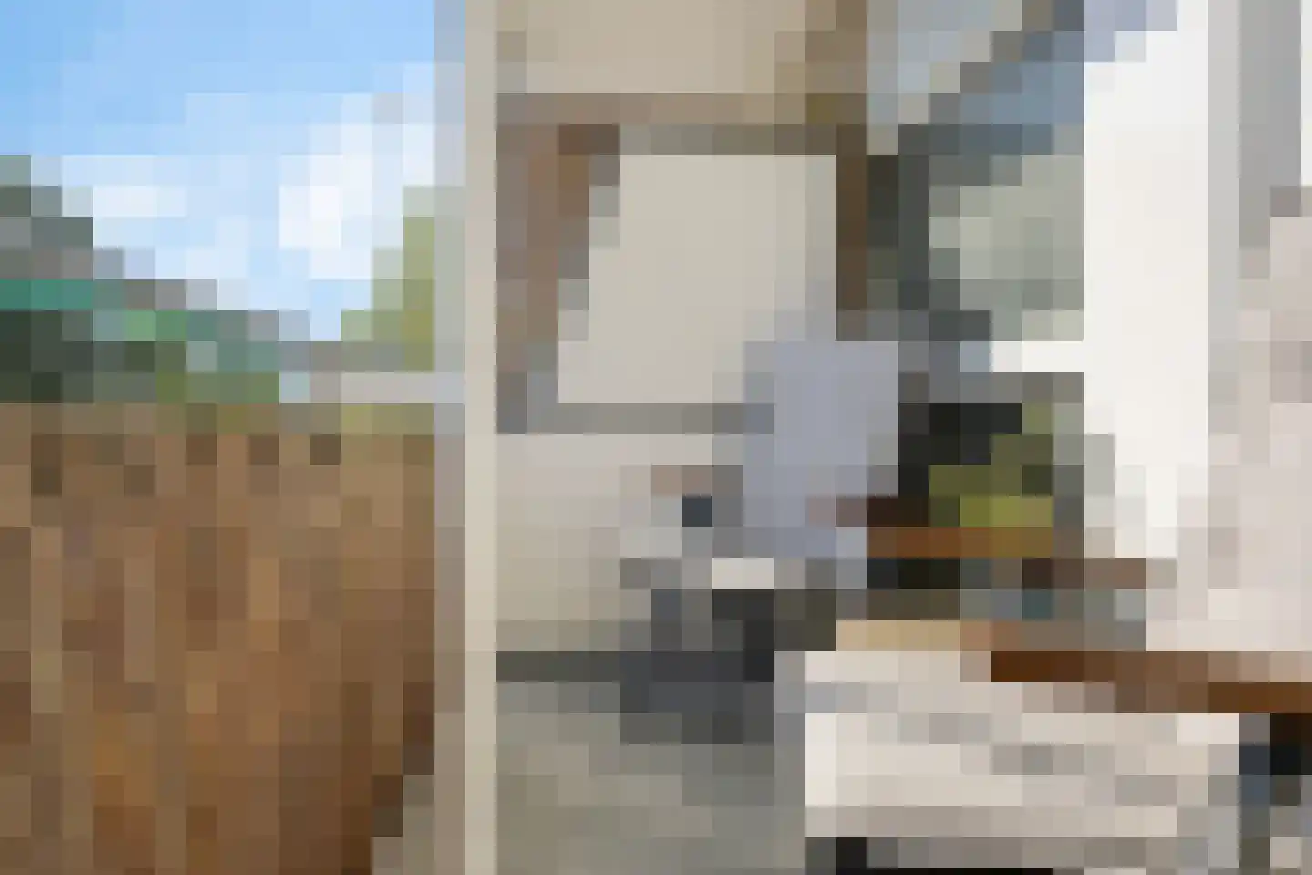 Molenstraat 235 Assen thumbnail 19