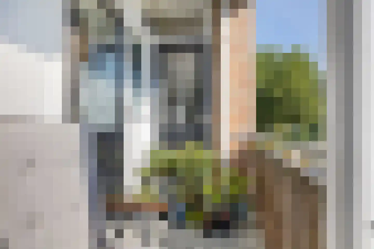 Molenstraat 235 Assen thumbnail 20