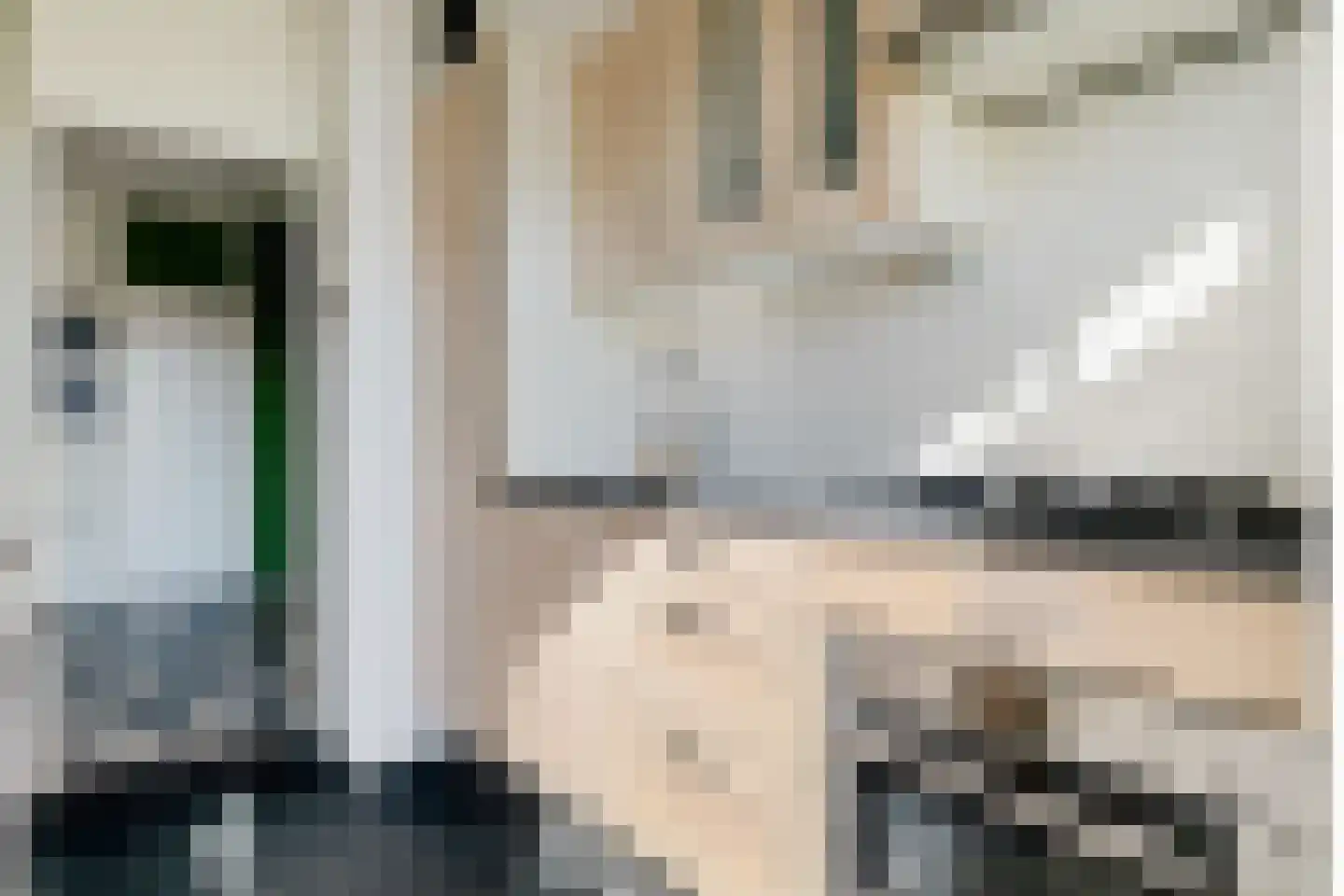 Molenstraat 235 Assen thumbnail 22