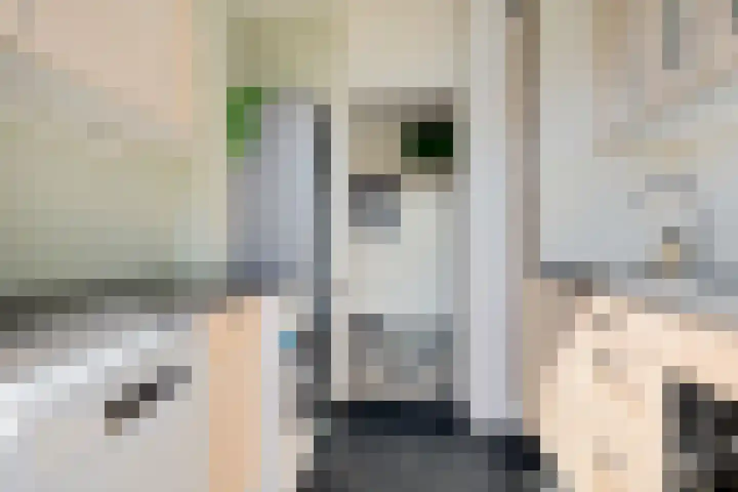 Molenstraat 235 Assen thumbnail 23