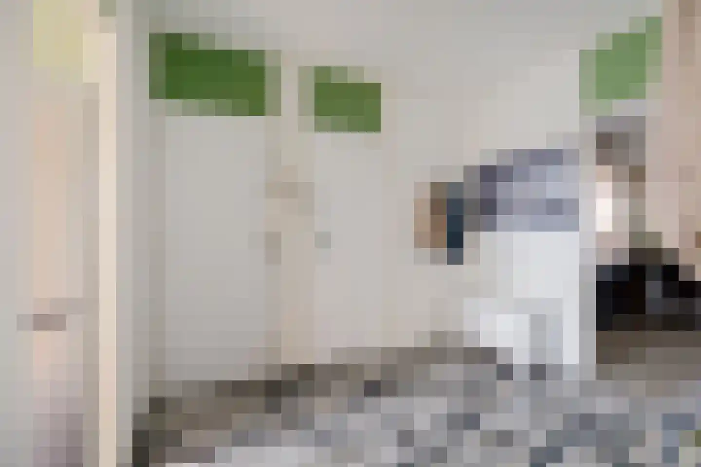 Molenstraat 235 Assen thumbnail 25
