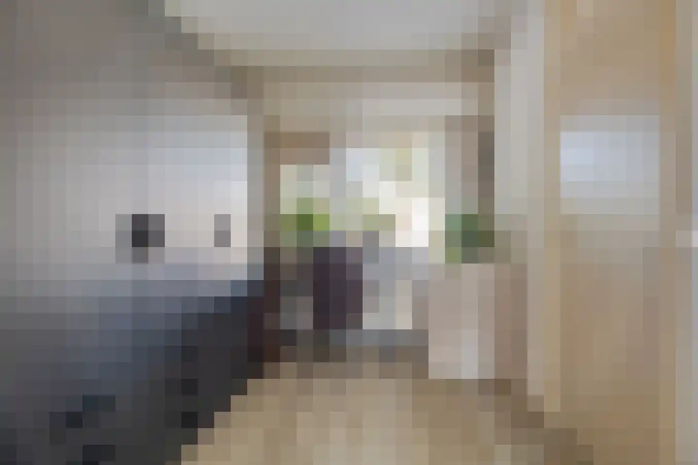 Molenstraat 235 Assen thumbnail 26