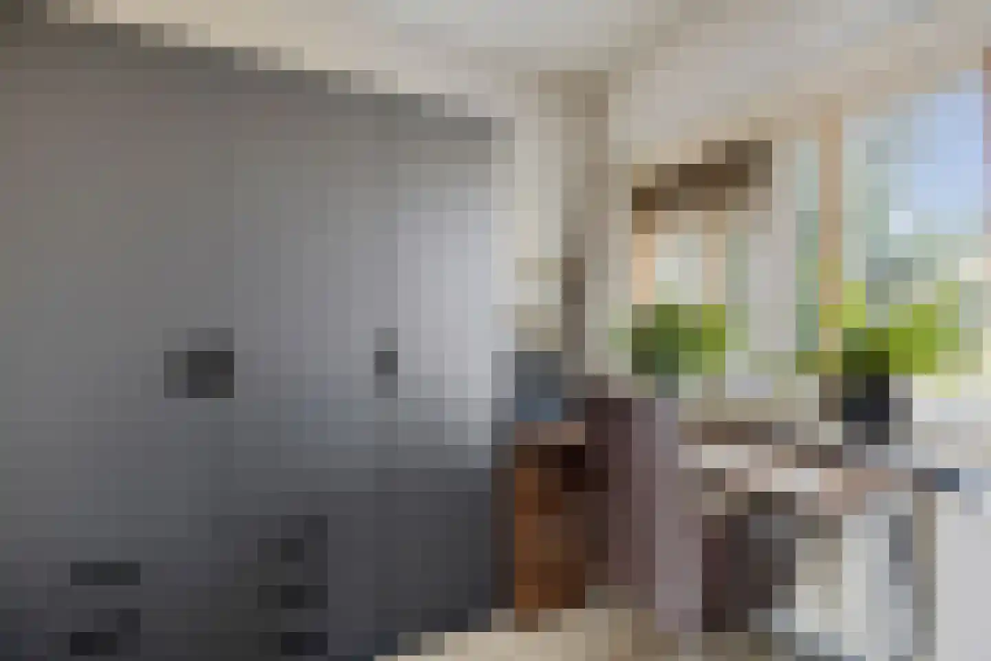 Molenstraat 235 Assen thumbnail 27