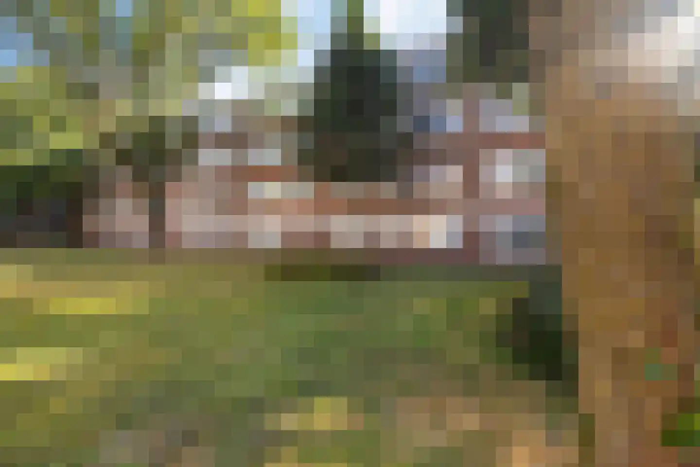 Molenstraat 235 Assen thumbnail 37
