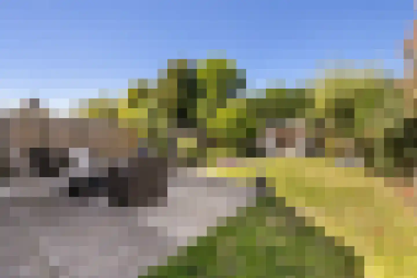 Molenstraat 24 a Angeren thumbnail 11